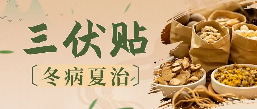 【冬病夏治】驅(qū)病邪，守安康--2025我院內(nèi)分泌科“三伏貼”預(yù)約開(kāi)始啦！